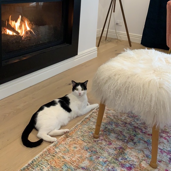 Meet your Posher, Gillian - Picture 1 of 1